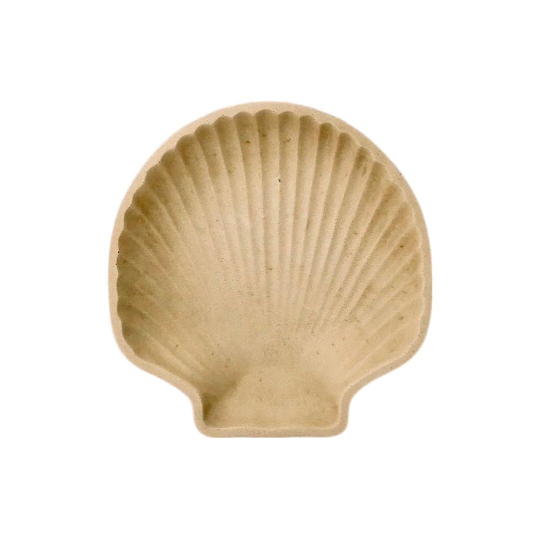 coupelle coquillage béton