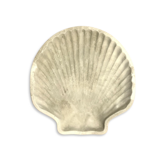 coupelle coquillage béton