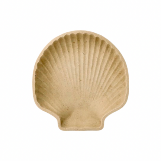 coupelle coquillage béton